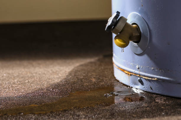 Best Sewage cleanup and water damage restoration  in Richlandtown, PA