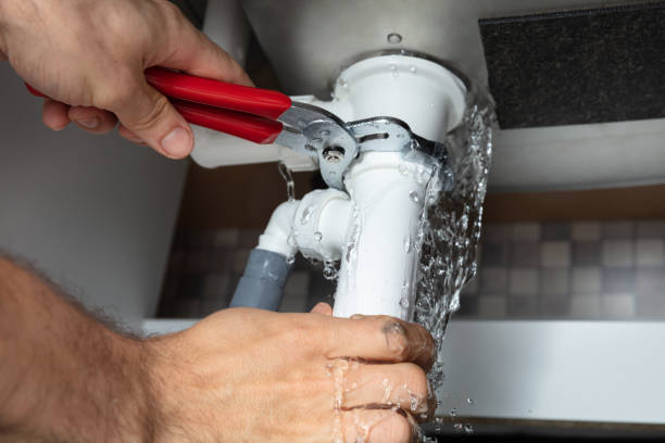 Best Professional water damage repair  in Richlandtown, PA