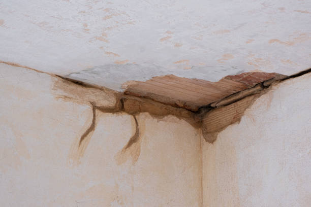 Best Water damage restoration company  in Richlandtown, PA