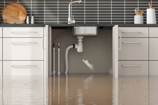 Best Flood restoration services  in Richlandtown, PA